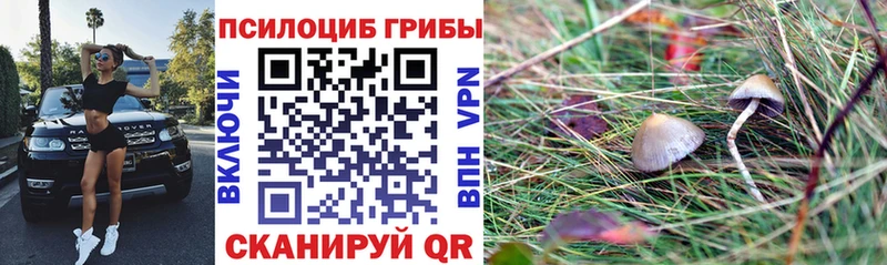 Галлюциногенные грибы мухоморы  наркотики  Большой Камень 